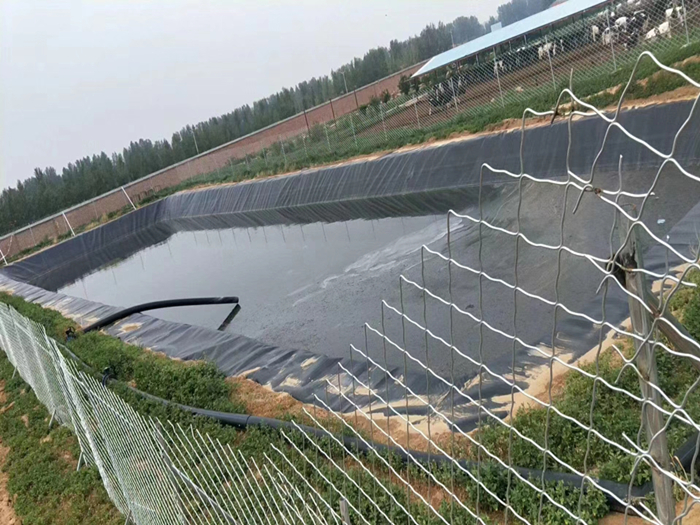 保定高标准农田