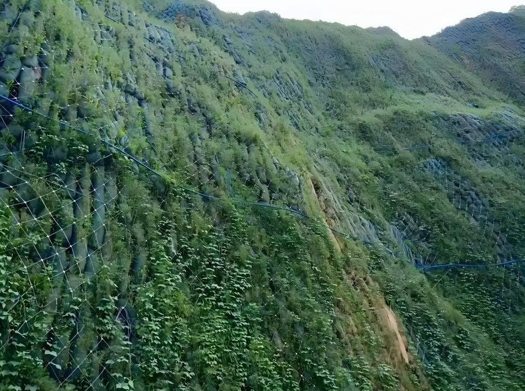 果园护坡