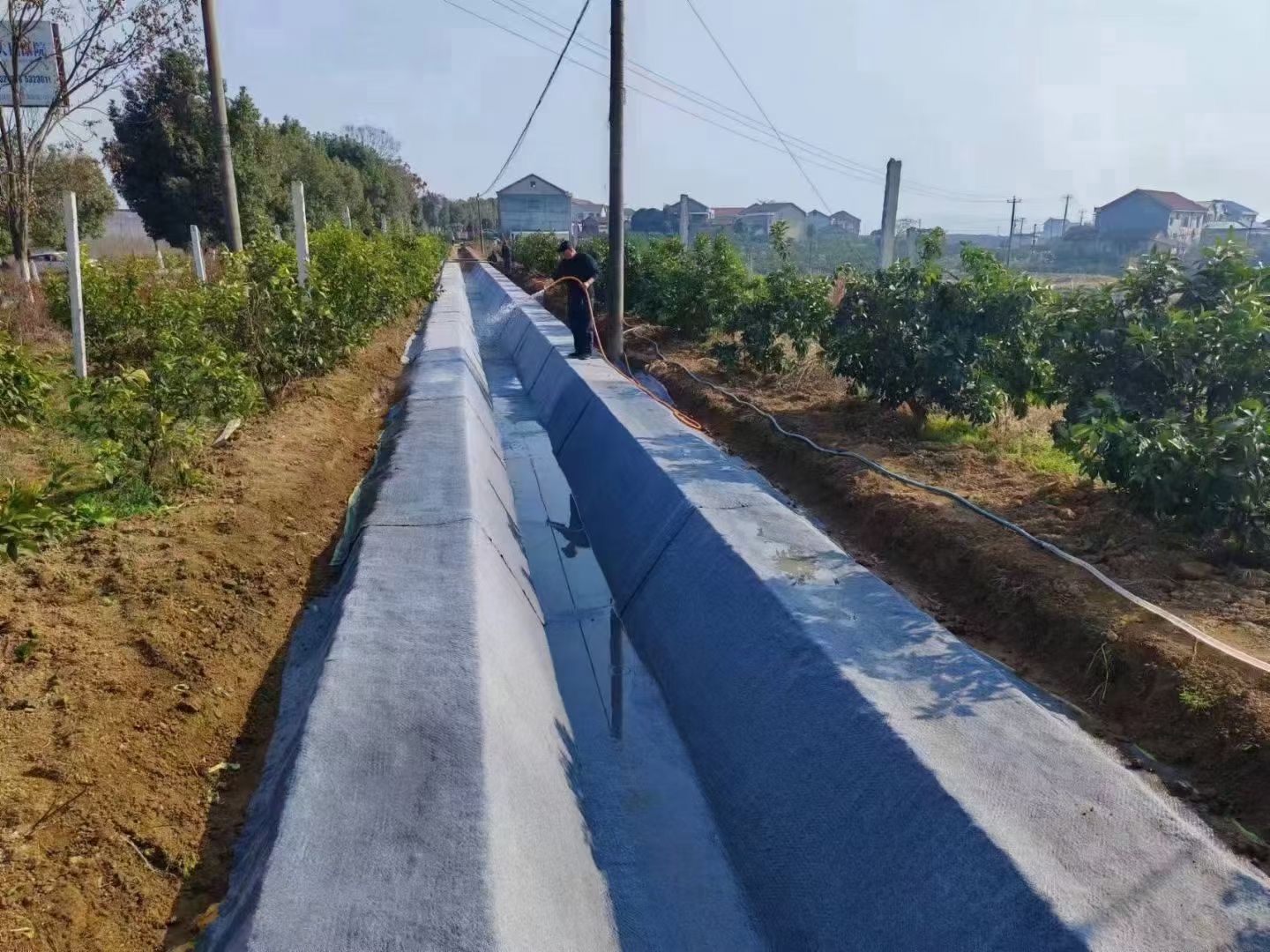 高标准农田