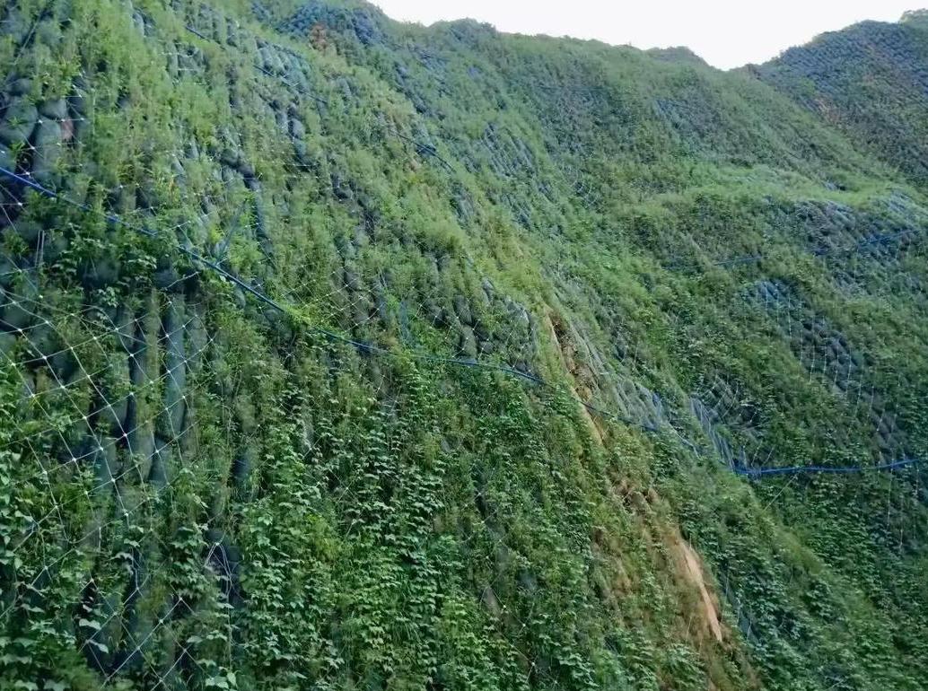 四川矿山复绿
