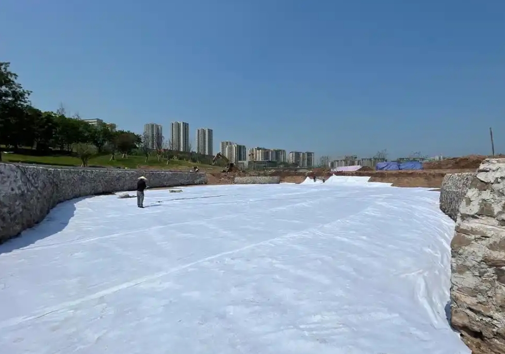 天津团泊洼湿地修复